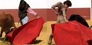 Antonio Muñoz y Manuel Larios tentando en Guadajira. (FOTO:Gallardo)